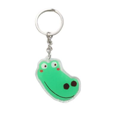 China 2022 Wholesale Fashionable Clear Acrylic Pet Key Chain Holographic Acrylic Key Chain for sale