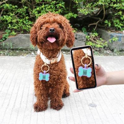 Cina Wholesale low MOQ Cheap different shape many colors for options silicone blank dog tag name ID tag in vendita