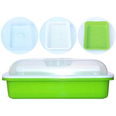 China New Flexible Water Culture Seedling Boxes Cultivation Soilless Planting Boxes Seedling Tray for sale