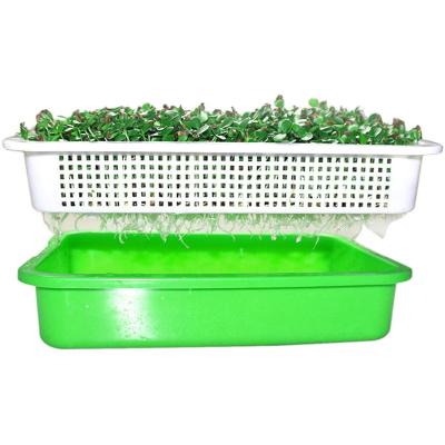 China Eco-friendly Plastic Polystyrene Heat Preservation Seedling Tray Cultivation Planting Boxes Seedling Tray for sale