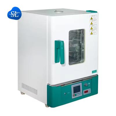 China Electric Blast Drying Oven for Laboratory Fruit Drying Electrostatic Spraying Coating for sale