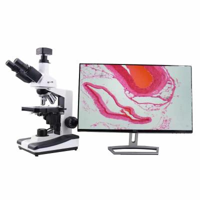 China High Magnification 40x-1600x BINOCULAR Biological Microscope for Medical Teaching and Scientific Research for sale