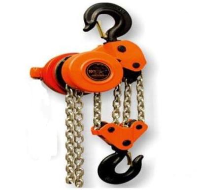 Cina Traditional tank lifting construction electric hoist with chain stainless steel in vendita