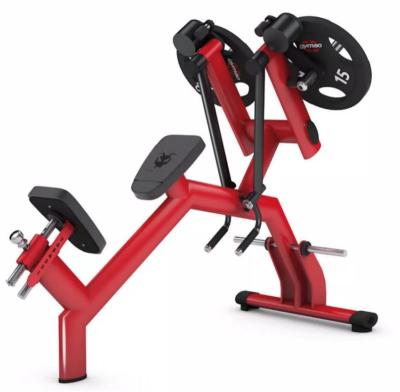 China Fitness Bodybuilding Exercise Professional Body Building Fitness Gym Equipment Plate Loaded Back Extension Shoulder Pusher Machine OEM Customized for sale