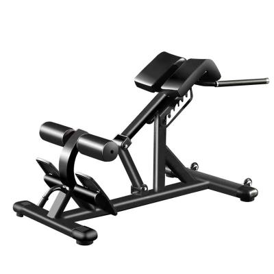 China Modern Commercial Home Gym Equipment All In One Weight Bench Roman Chair Bench for sale