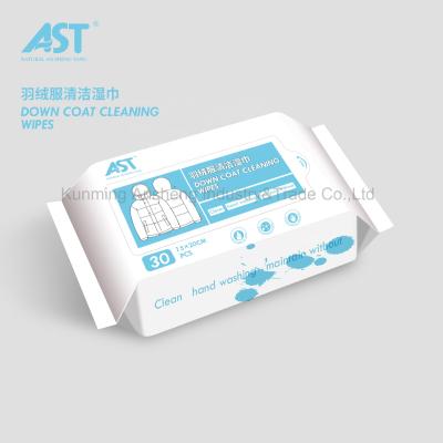 China Cleaning Down Wet Cloths Coat Wet Decontaminant Coat Wet Wipes Clothes Wash - Free Portable Wipes for sale