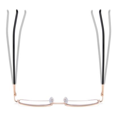 China The framework is flexible. China Single Sale Multifocal Glasses Anti-Blue-Ray Reading Glass Fashion Compact Lightweight Reading Glasses for sale