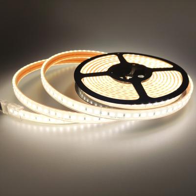 China Popular Cheap Theme Park Silicone Extrusion Led IP 67 Waterproof 12v 60 LED Strip SMD 2835 5050 Nature White Flexible Linear Light for sale