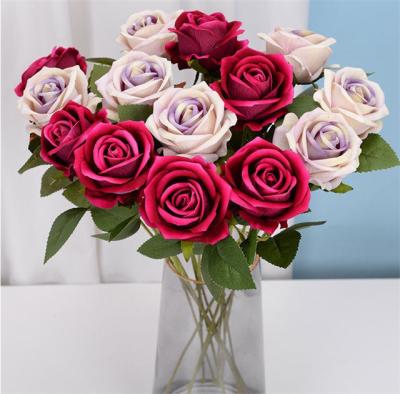 China SW-R001 Amazon silk velvet rose flower artificial flowers for home decoration and wedding for sale