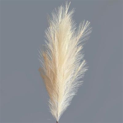 China Moisturizing Artificial Pampas Grass Factory Directly Supply High Quality Artificial Flowers For Sale for sale