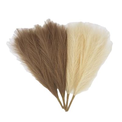 China Hot Selling Large Dried Natural Touch Pampas Grass The Fluffy Pampas Dry Flower For Decoration for sale