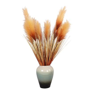 China Natural Grass Pampas Reed Dog Tail Grass Spot Touch Artificial Amazon Hot Spot Reed For Wedding Decoration for sale