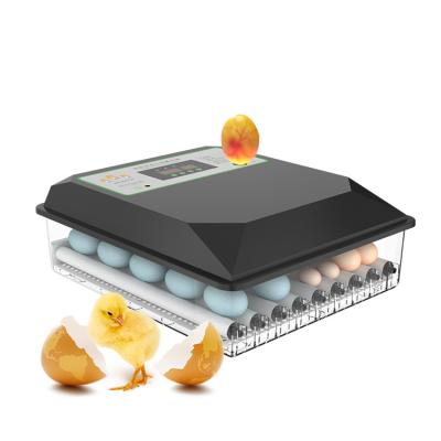 China Full Automatic Digital Egg Incubator Intelligent Household Double Power Supply One Layer 64Egg Incubator Haching Eggs Incubator for sale