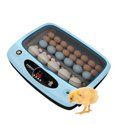 China Various Farms Factory Sale Cheap Price Mini Small Chicken Egg Incubator Machine for sale