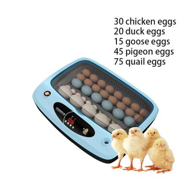 China High Hatching Rate New Design Professional Cheap Digital Intelligent Automatic Egg Incubator Fully Automatic Egg Incubator For Sale for sale