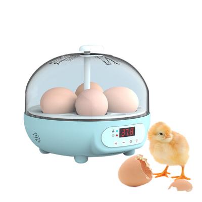 China Home Use Hot Selling 4 PCS Mini Advance Hatching Egg Incubator Household Incubators for sale