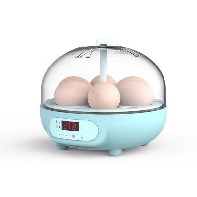 China Hot Sale Home Use Quality Automatic Egg Turning 6 Pcs Chicken Egg Hatcher Machine Incubator for sale