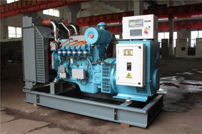 China Reliable No Pollution 250 KW Gas Generator Set Electrical Starting Automatic Control for sale