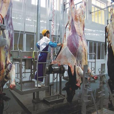 China Livestock Cattle Slaughter Line For Slaughterhouse Cattle With Butchery Equipment for sale