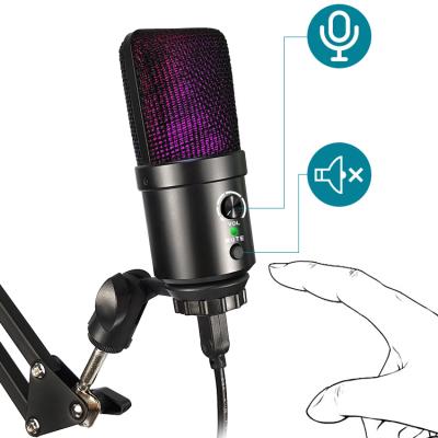 China Microphone Factory Wholesale Desktop RGB USB Cable Condenser Wired Microphone for sale