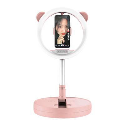 China ABS Factory Price ABS G2 Ring Light Portable Pink Ring Table Light for sale