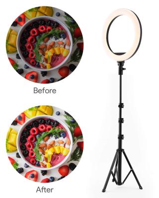 China Photogrphy Amazon FCC CE RoHS Live Stream and Makeup 10 Inch LED Photographic Phone Lighting with Tripod Stand and Phone Holder for sale