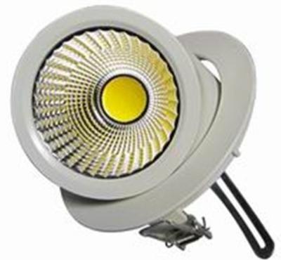 China New LED gimbal downlight COB 30W for sale