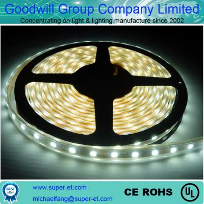 China waterproop IP65 pure white LED Strip Lights flexible strip light for sale