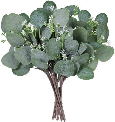 China Decorative Photo Frame Real Touch Dried Artificial Silver Dollar Eucalyptus Leaves Stems Bulk Plant in Gray Green For Holiday Wedding Decor 11.8' for sale