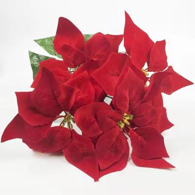 China Wholesale Party Feel The Real 7 Heads Velvet Red Poinsettia Flower Bouquet Christmas Picks For Christmas Home Wreath Tree Ornaments A Red for sale