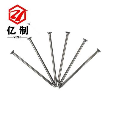 China Stainless Steel Flat Round Nails 201 304 Factory Supplier Wholesale for sale