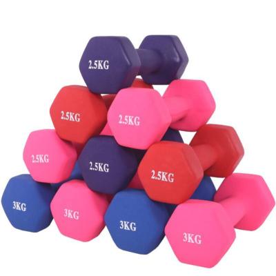 China Best Selling Durable Goods Using Solid Cast Iron Gym Safety Hex Dumbbell for sale