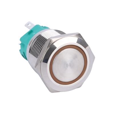 China High Quality Momentary Reset Flat Head 1NO1NC Nickelled Stainless Steel/Brass Form 19mm 12V Ring Led Light Push Button Switches For Machine for sale