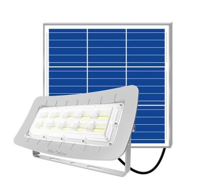 China Park/Garden Solar Billboard Light/Flood Motion Sensor Light Radar Solar Control FLR 2.0 for sale