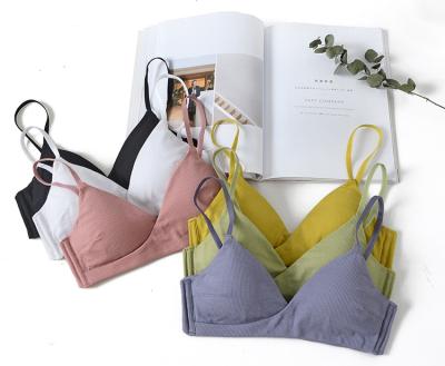 China New Fashion Design Underwear Candy Color Triangle Cup Antibacterial Rib Modal Cotton Wireless Bra For Girls for sale