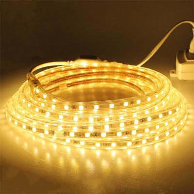 China Wholesale Outdoor 5m Garden 12v 24v 2835 5050 Waterproof Streifen Smart Flexible Led Light Strips for sale