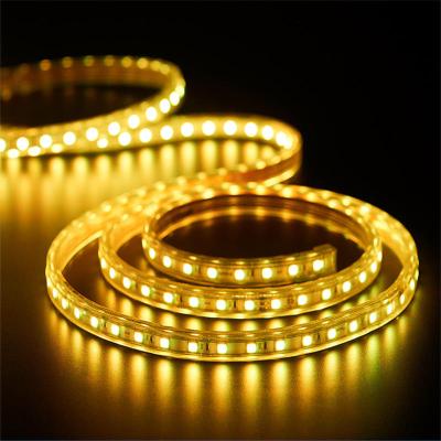 China Garden AC 220v Waterproof Double Array 180leds 2835 Ww CW Led Strip Lighting Flexible Ce Rohs for sale