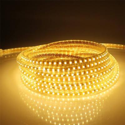 China High Voltage Outdoor Garden 110v 220v Smd 5050 Single Color RGB Led Strip Light 50m/roll 100m/roll for sale