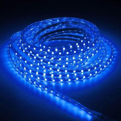 China Garden Led Strip Light 5050smd Dc12v 300leds Ip65 RGB Waterproof Flexible Fita Led Strip Rgb Strip Diode 5m/roll for sale