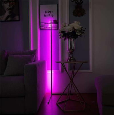 China Modern Decoration Home For Living Room Night Light Dimming Art Nordic Modern Floor Standing Lamp for sale