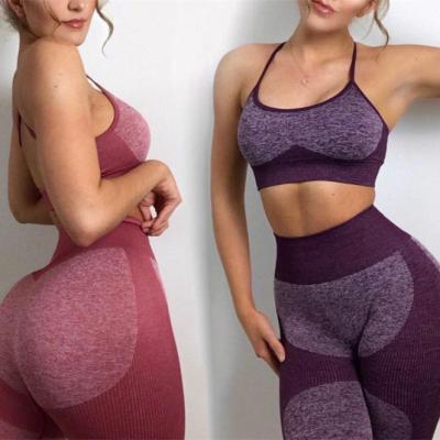 China Wholesale Full 11 Colors Antibacterial Sports Gym Wear Tights And Crop Top 2 Pieces Women Seamless Yoga Set for sale