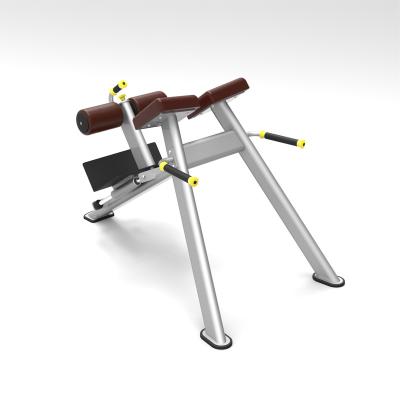 China Popular fitness center 61A43 h adjustable roman bench for strength exercise for sale