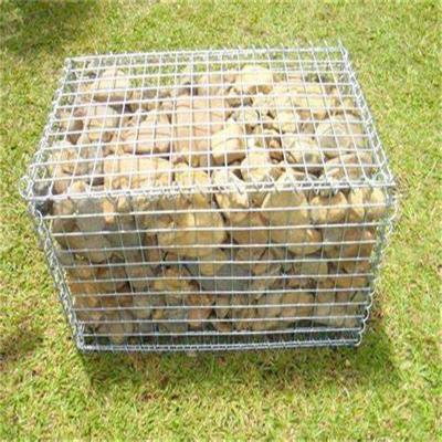 China Metal Galvanized Gabion Cage Box 2x1x1 Welded Stone Gabion Baskets Wall for sale