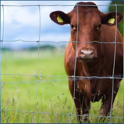 China Easily Assembled Galvanized 5 6 7 8 Ft Fixed Knot Deer Cattle Fence On Farm Field Fence for sale