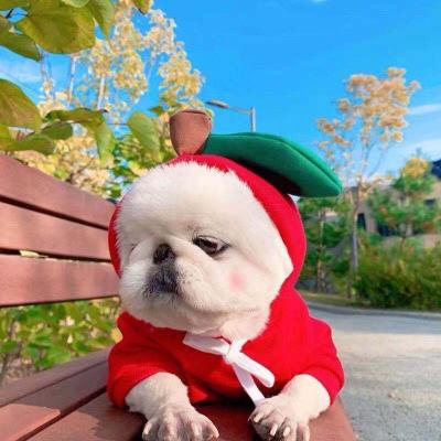 China Hot Sustainable Fashion Custom With Hat Christmas Elements Pet Clothes Pet Apparel Christmas Pet Sweater for sale