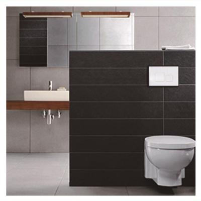 China Eco-friendly Concealed Cistern WC Rimless Toilet Floor Fixed AC-8120 Back To Wall Toilet With for sale