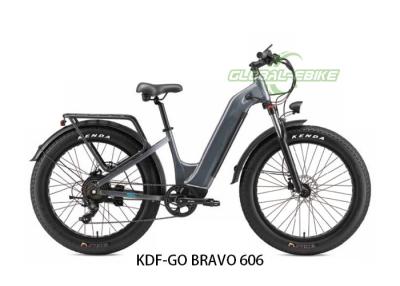 China Bicicleta eléctrica de pantalla LCD de 48V 500W con llantas gruesas Cuadro de aleación de aluminio en venta