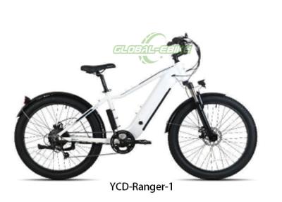 China 26x3.0 Tires 48V 15Ah Road Electric Bike Adults With TFT Display Alloy Frame for sale