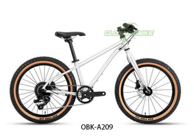 China Alu Alloy Kids BMX Bike 20 Zoll mit Shimano 9-Geschwindigkeits-Hydraulische Scheibenbremse zu verkaufen