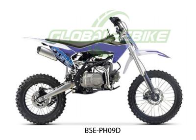 Κίνα Τεχνουργήματα Ατσάλι Swing Arm Off Road Motocross ποδήλατα με κινητήρα ZS 125 290mm προς πώληση